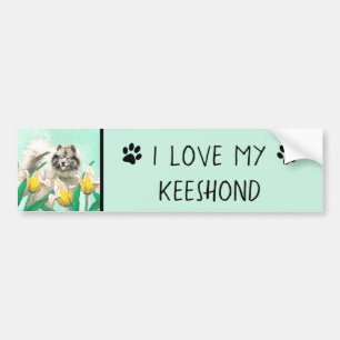 Keeshond in Tulips Painting - Cute Original Dog Ar Bumper Sticker