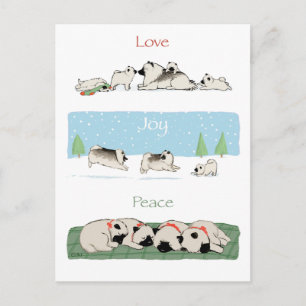 Keeshond Love Joy Peace Holiday Postcard