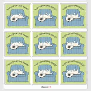 Keeshond Non-Sporting Breed   Funny Keesie Dog