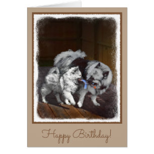 Keeshond Playtime Painting - Cute Original Dog Art