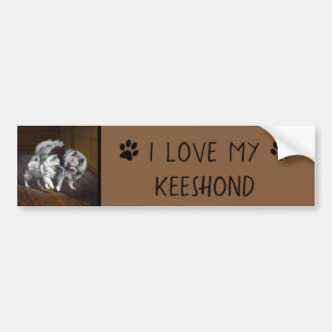Keeshond Playtime Painting - Cute Original Dog Art Bumper Sticker