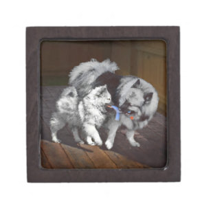 Keeshond Playtime Painting - Cute Original Dog Art Gift Box