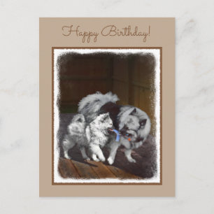 Keeshond Playtime Painting - Cute Original Dog Art Postcard