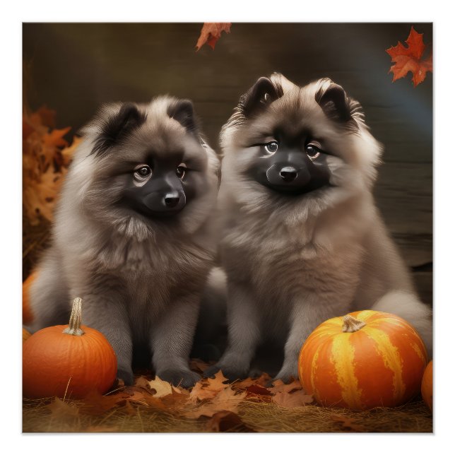 Keeshond Puppy Autumn Delight Pumpkin Poster (Front)