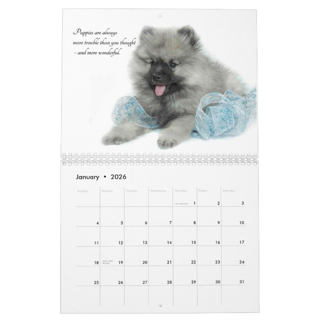 Keeshond Puppy Calendar (Jan 2026)