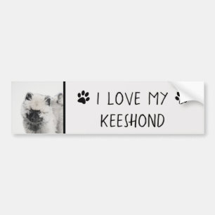 Keeshond Puppy Drawing - Cute Original Dog Art Bumper Sticker