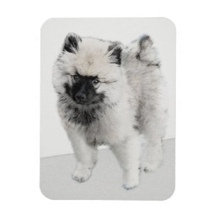 Keeshond Puppy Drawing - Cute Original Dog Art Magnet