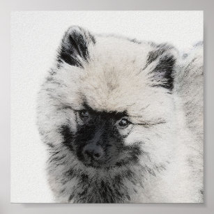 Keeshond Puppy Drawing - Cute Original Dog Art Poster