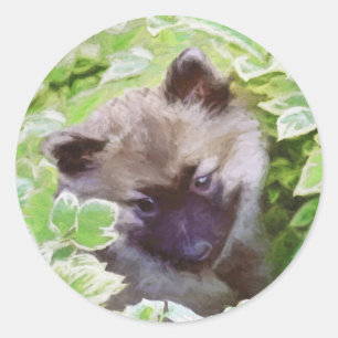 Keeshond Puppy in the Garden Painting Original Art Classic Round Sticker
