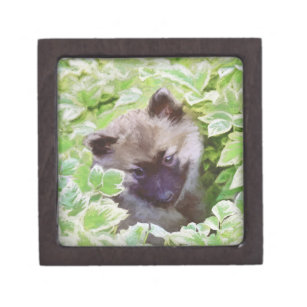 Keeshond Puppy in the Garden Painting Original Art Keepsake Box