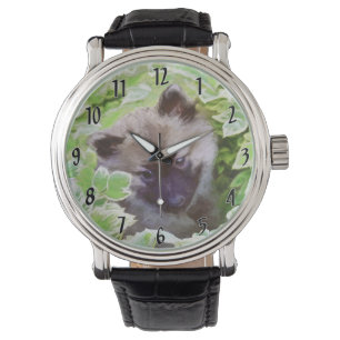 Keeshond Puppy in the Garden Painting Original Art Watch