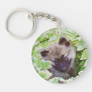 Keeshond Puppy in the Garden Peinture Art original