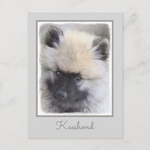 Keeshond Puppy Painting - Cute Original Dog Art Postcard