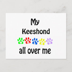 Keeshond Walks Design Postcard