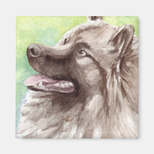 Keeshond Watercolor Portrait Magnet