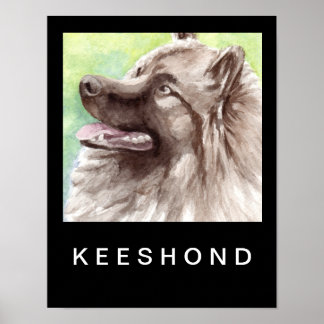 Keeshond Watercolor Portrait Poster