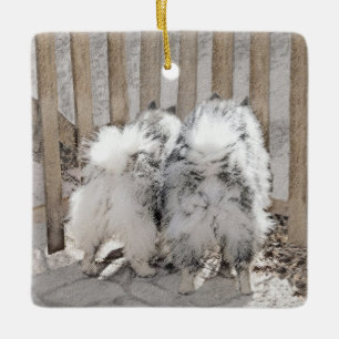 Keeshonds at the Gate Painting - Original Dog Art Ceramic Ornament