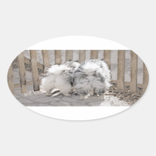 Keeshonds at the Gate Painting - Original Dog Art Oval Sticker