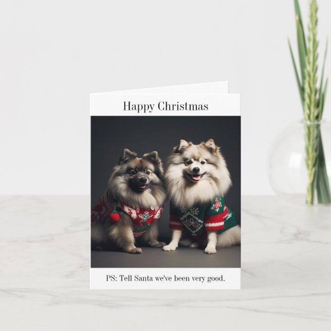 Keeshones dans la carte de jumpers de Noël (Devant)