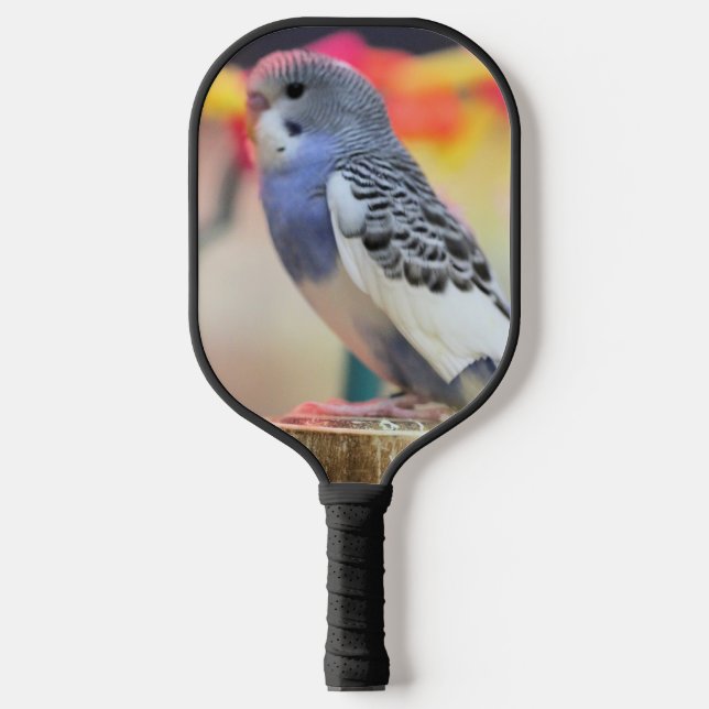 Keet Pickleball Paddle (Front)