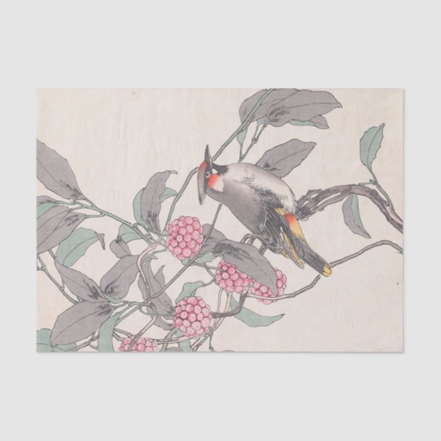 Keinen Kachō Gafu, Pl.21 by Imao Keinen Tissue Paper (Front)