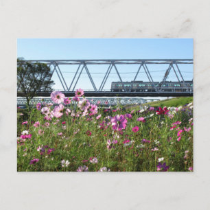 Keisei Train: Edogawa, Tokyo Postcard