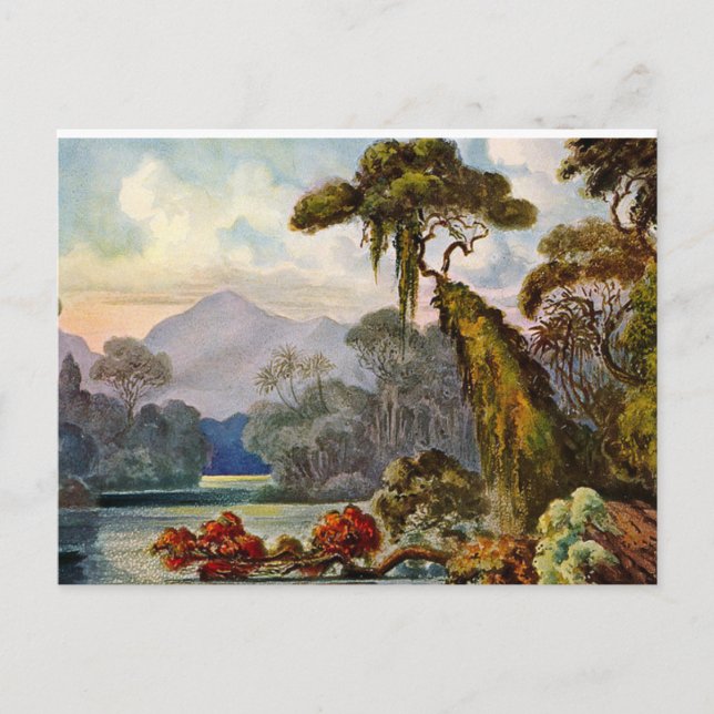Kelany Ganga Ernst Haeckel Painting 1882 Postcard (Front)