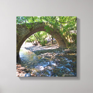 Kelefos medieval bridge in Cyprus forest Canvas Print
