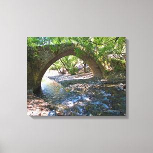 Kelefos medieval bridge in Cyprus forest Canvas Print