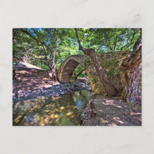 Kelefos medieval-Venetian bridge in Cyprus forest Postcard