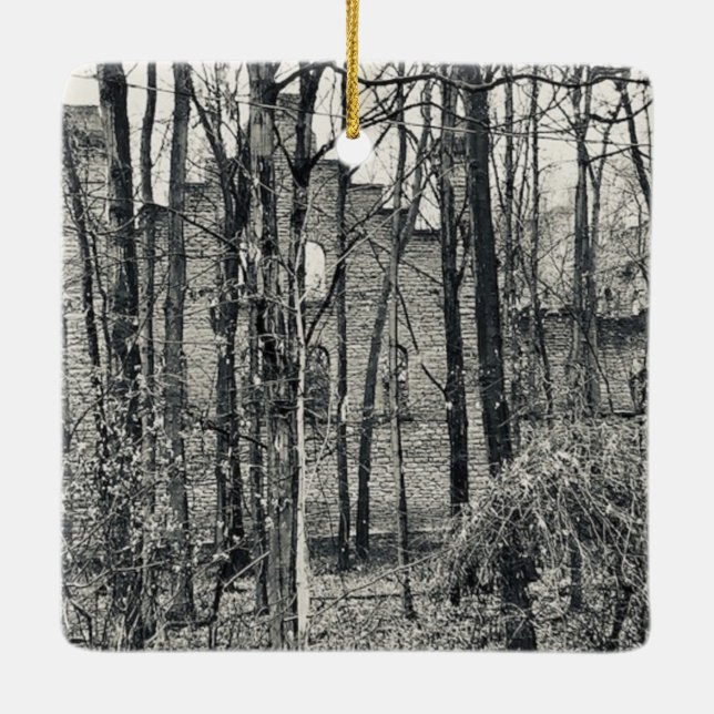 "Kelley's Island Ruins II. photo  Ceramic Ornament (Back)