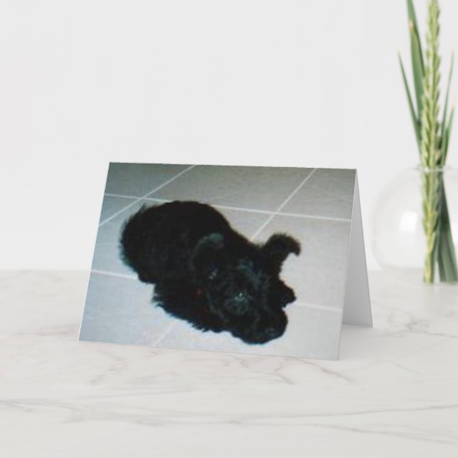 Kelly Boo Pup Greeting Card (Front)