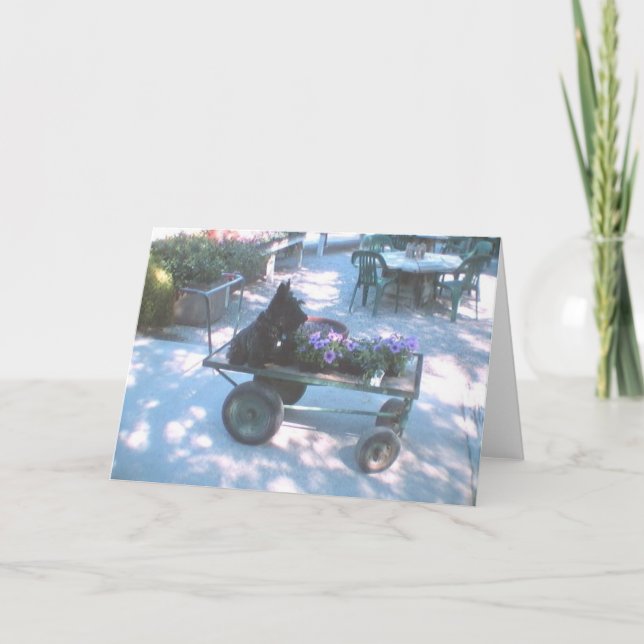 Kelly Boo sur la carte de voeux Panier Fleur (Devant)