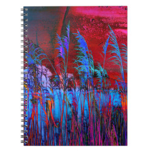 Kelly Nickels Photography / Willows & Weeds Notebook