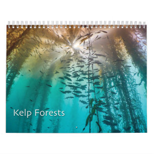 Kelp Forest Underwater Photo Calendar - Ocean