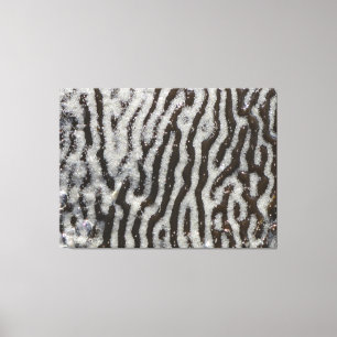 KELP wrapped canvas   m3galleryStudio