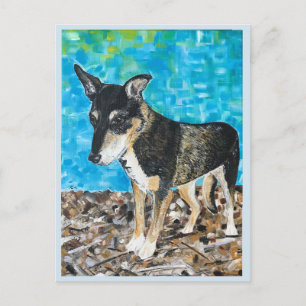 Kelpie dog postcard