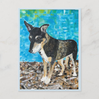 Kelpie dog postcard