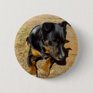Kelpie_Farm_Life,_ 2 Inch Round Button