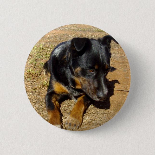 Kelpie_Farm_Life,_ 2 Inch Round Button (Front)
