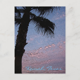 Kemah Palm Sunset postcard - customized