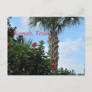 Kemah, Texas-Tropical Palm Postcard