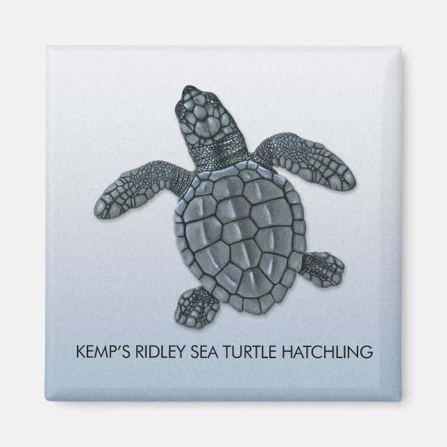 Kemp's Ridley Sea Turtle Hatchling Magnet (Front)