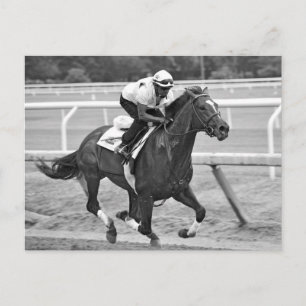 Ken McPeek Workouts at Saratoga Postcard