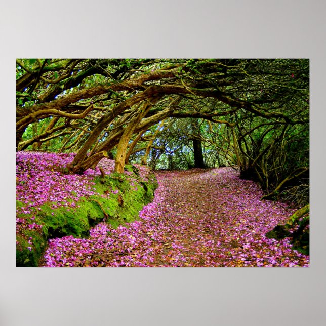 Kenmare  Rhododendron Tunnel - The... - Customized Poster (Front)