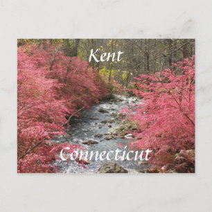 Kent, Connecticut Postcard