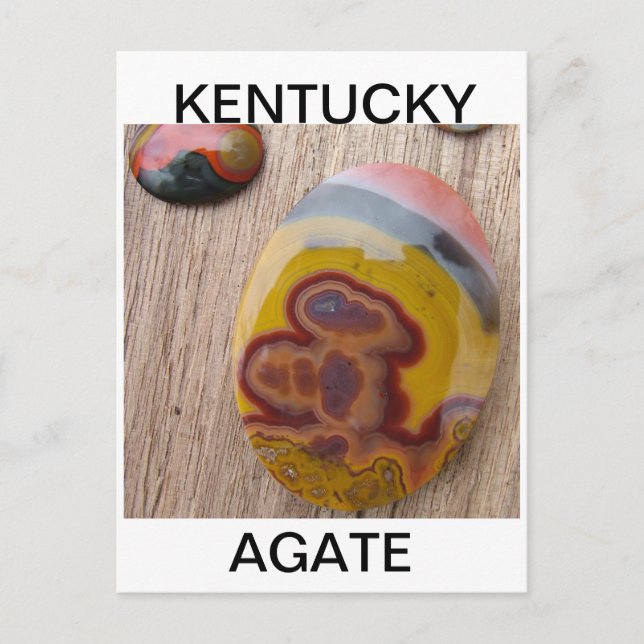 Kentucky Agate for rockhounds Postcard (Front)