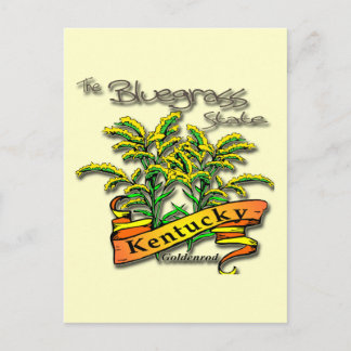 Kentucky Bluegrass State Goldenrod Postcard