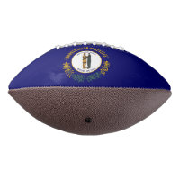 Kentucky Commonwealth State Flag Bluegrass State F