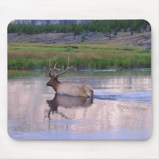 Kentucky Elk Mouse Pad (Front)